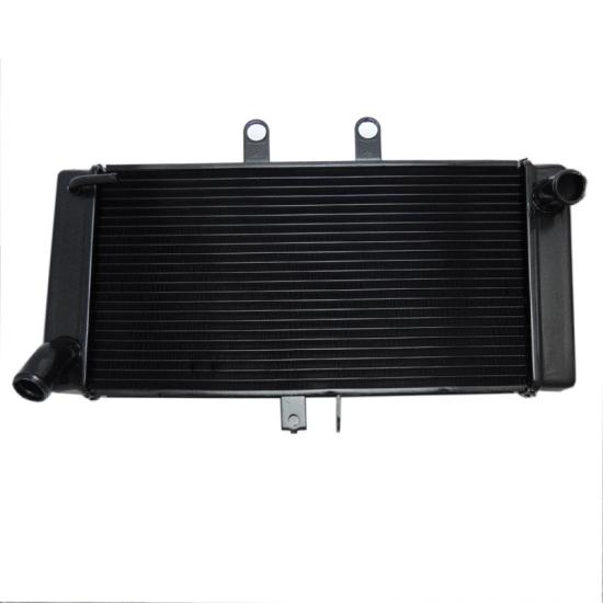 Radiator Grille